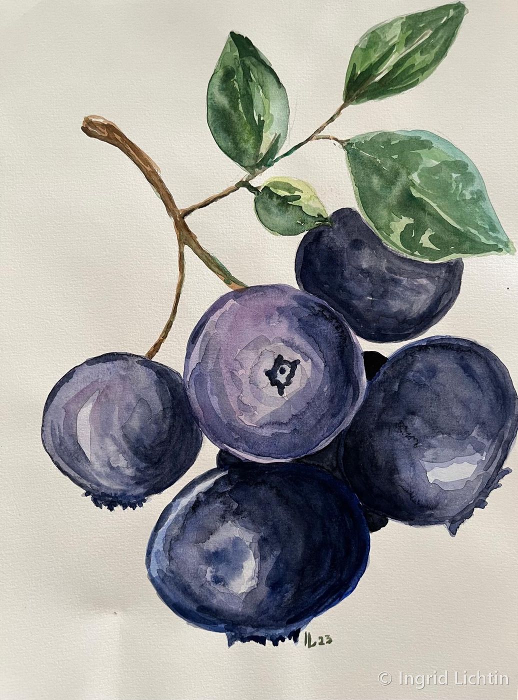 Sprig of Blueberries — a cluster of ripe blueberries on a twig with three green leaves
